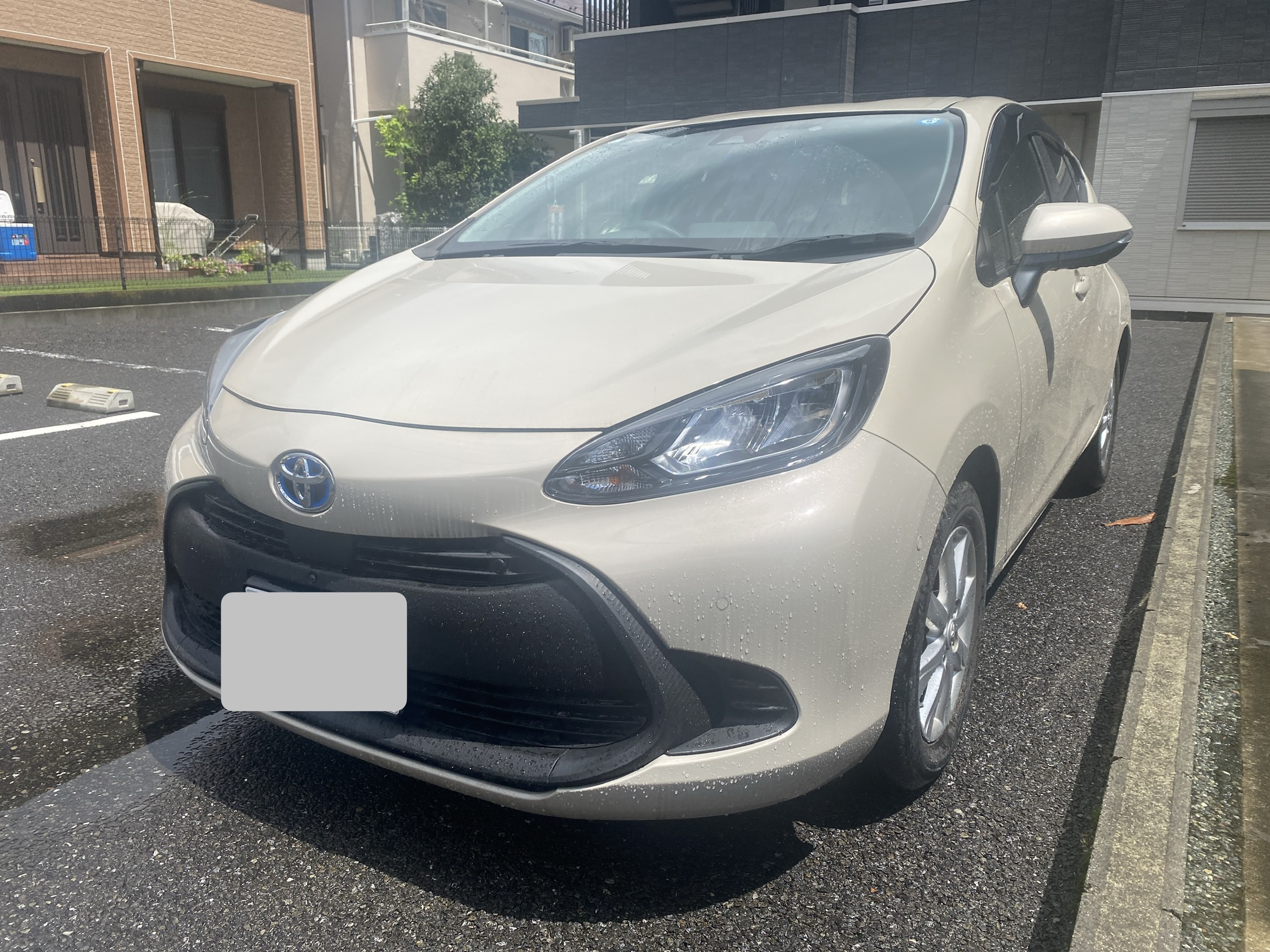 エアコンフィルター装着車でこの汚れ具合です！画像