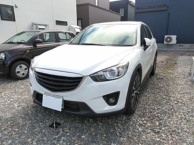 エアコンフィルター装着車でこの汚れ具合です！画像