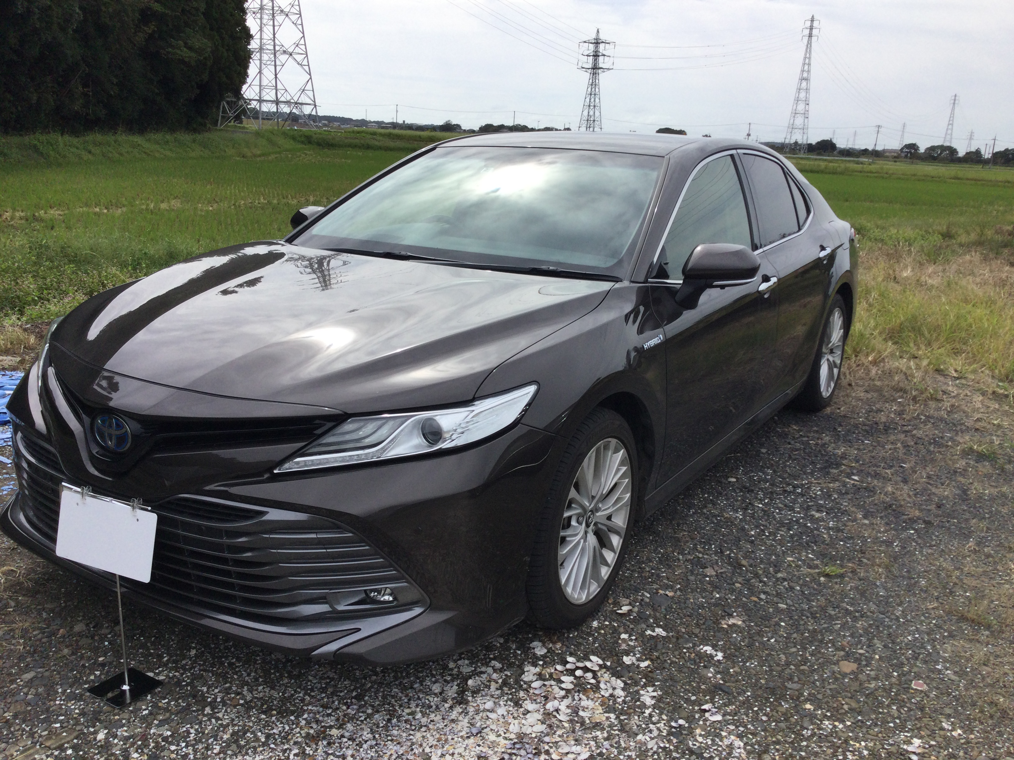 エアコンフィルター装着車でこの汚れ具合です！画像