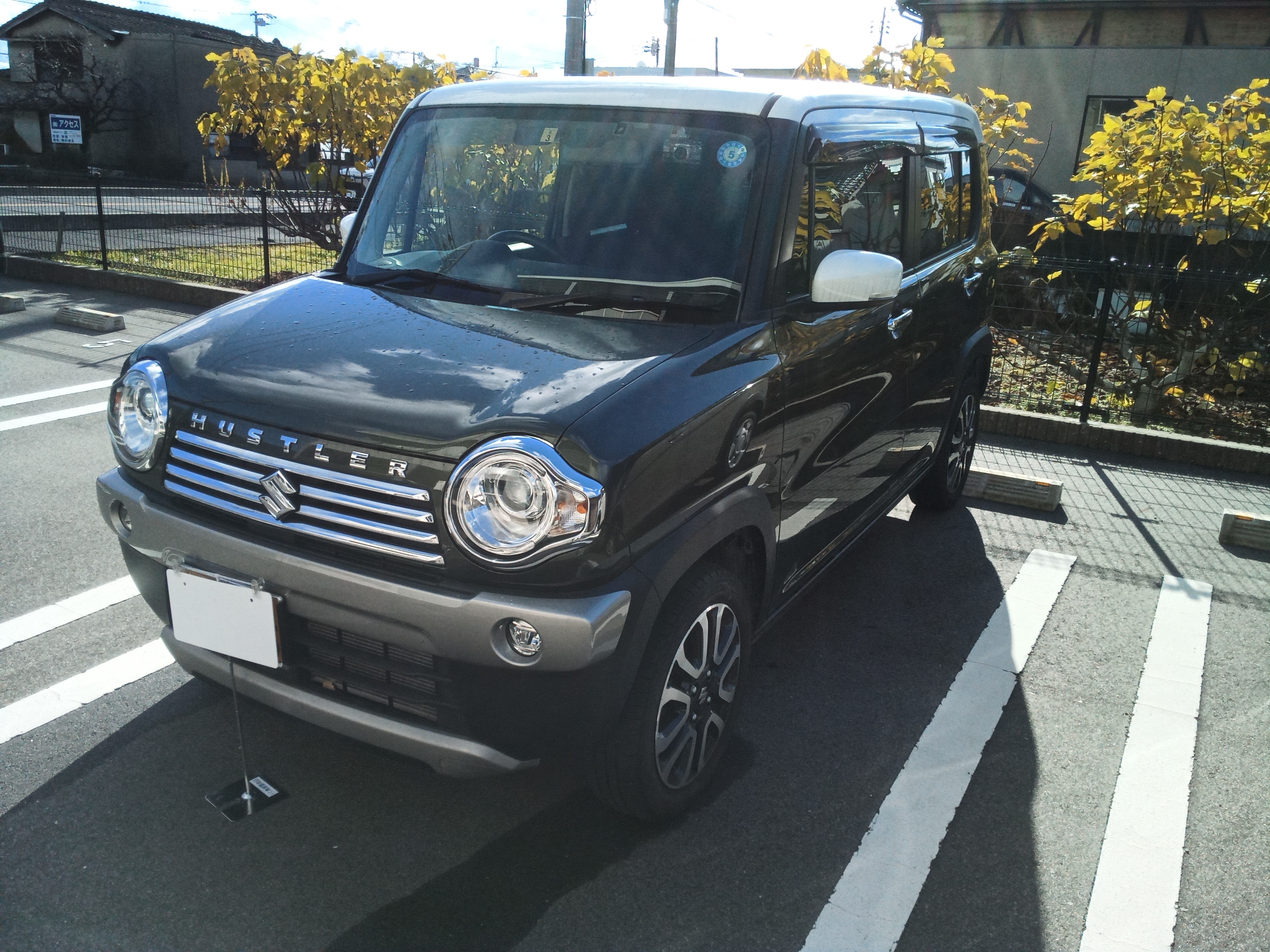 エアコンフィルター装着車でこの汚れ具合です！画像