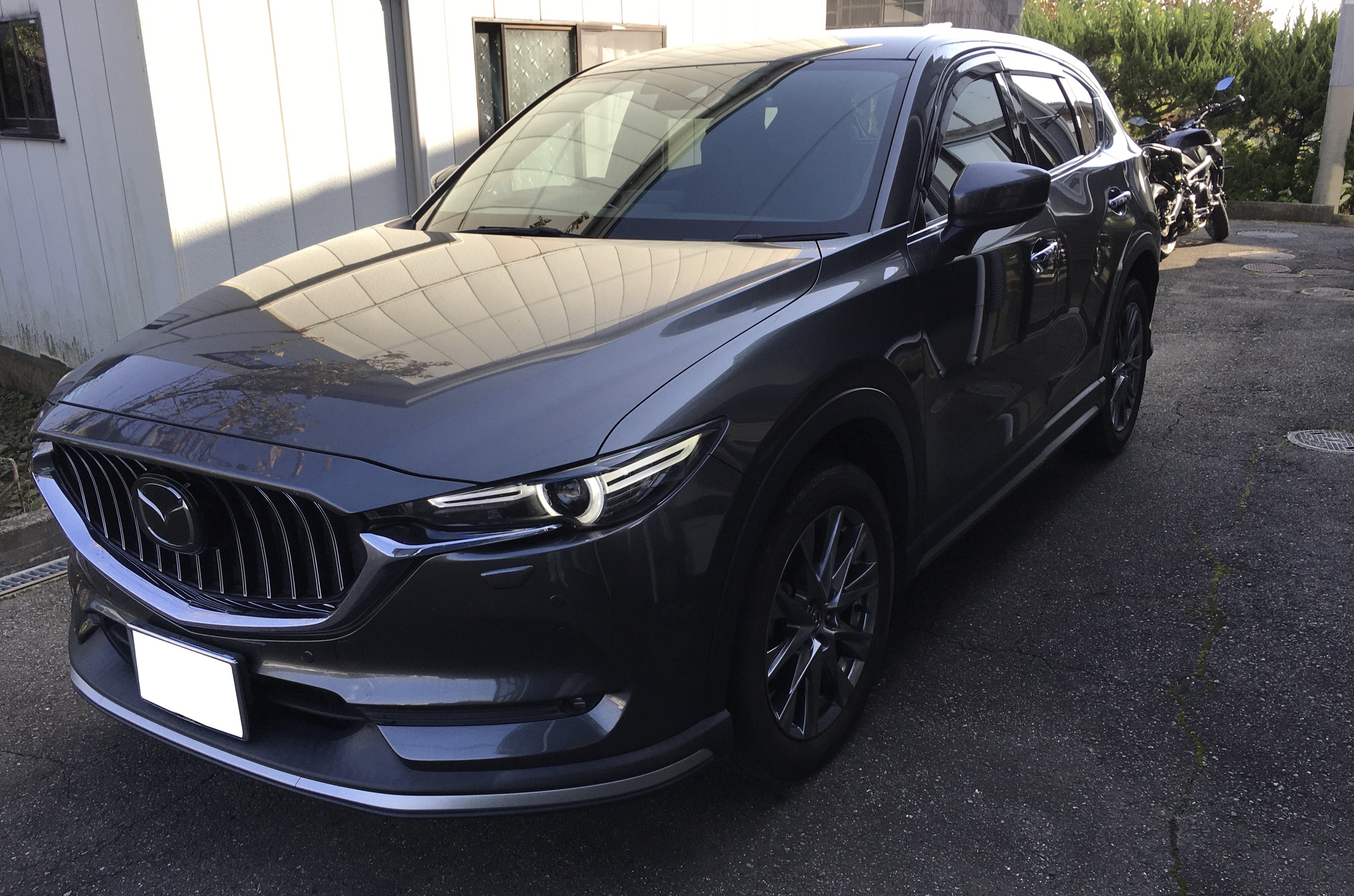 エアコンフィルター装着車でこの汚れ具合です！画像