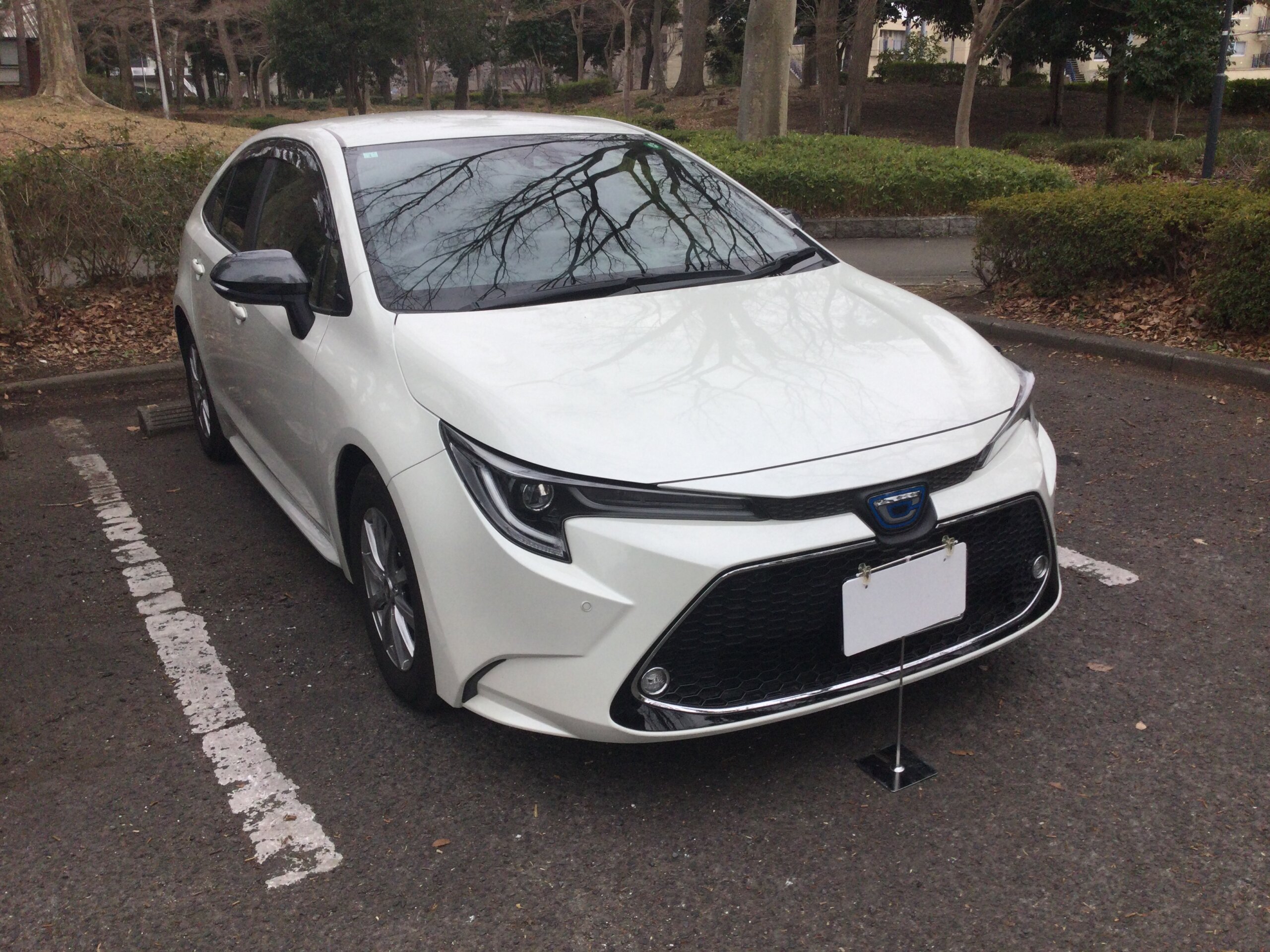 ご依頼のきっかけ