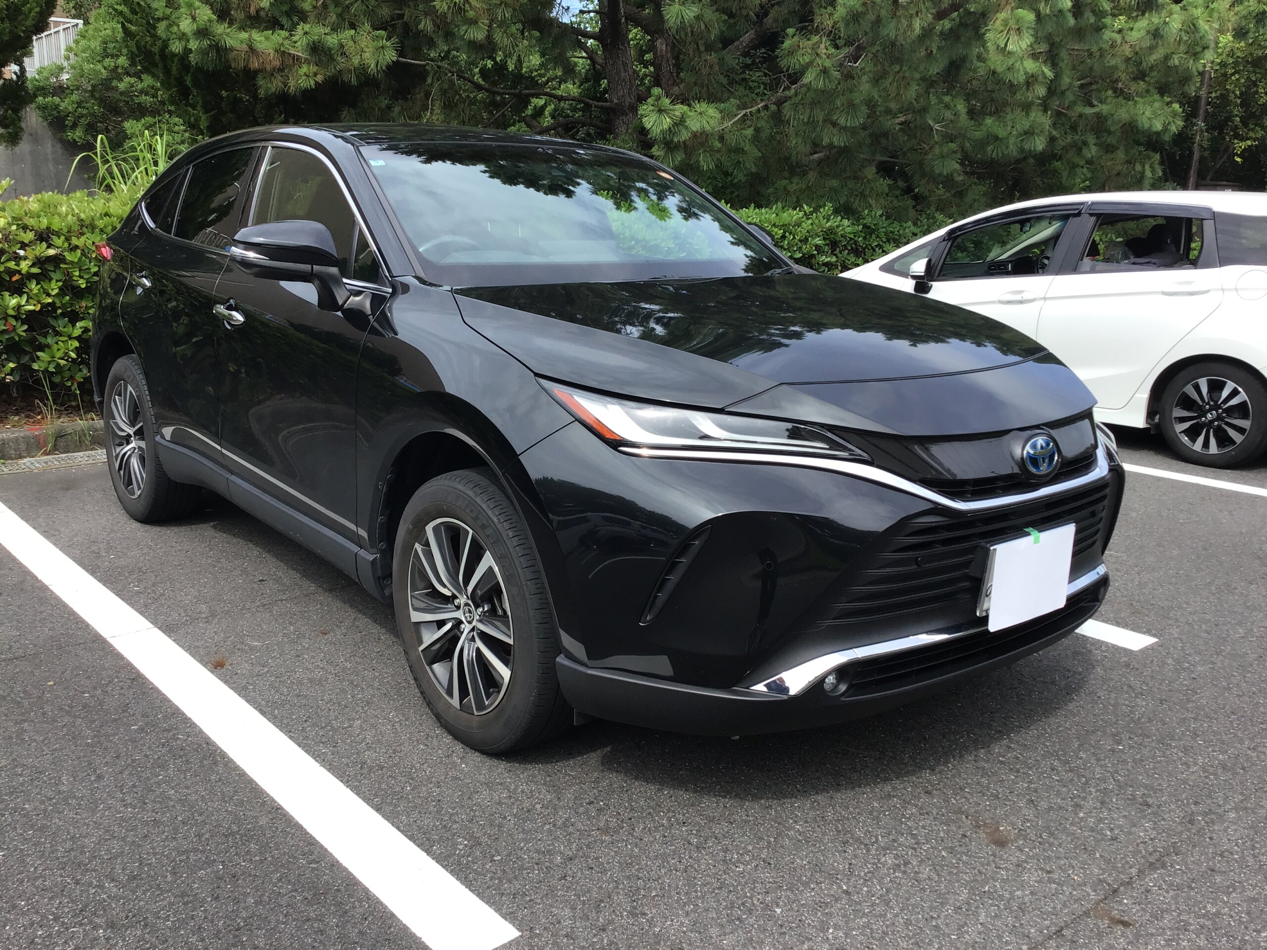 エアコンフィルター装着車でこの汚れ具合です！画像
